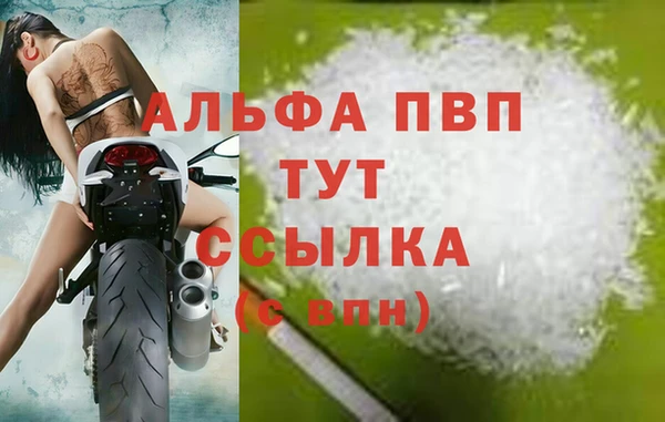 PSILOCYBIN Струнино