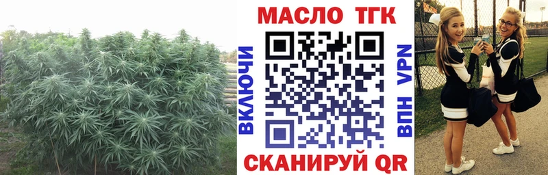 Купить  Фрязино  ТГК THC oil 